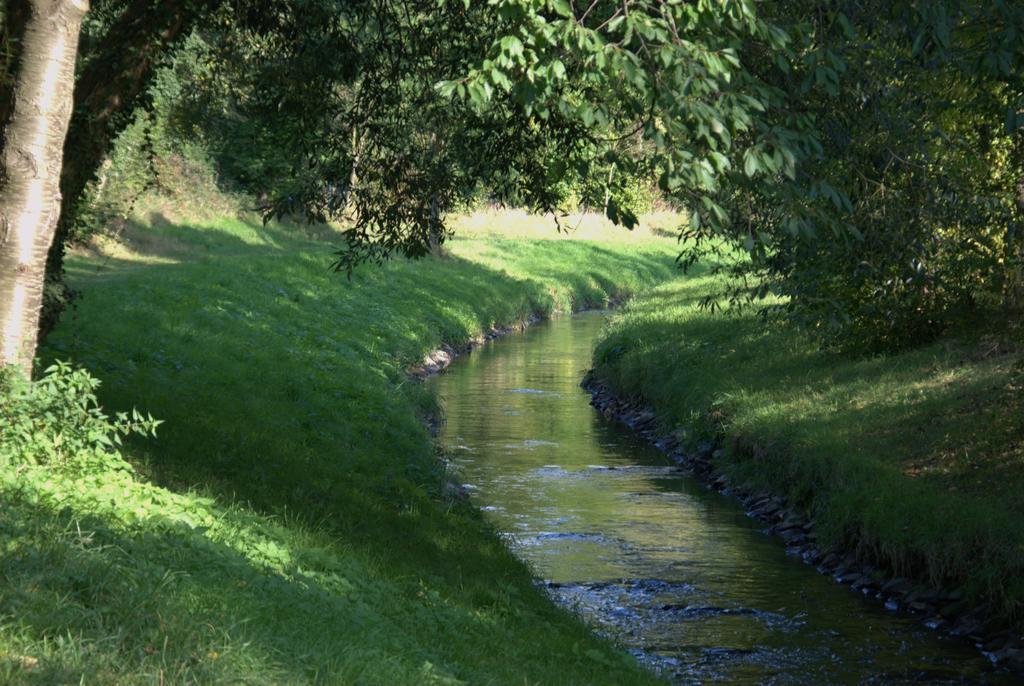 Land-Hotel Zum Schwan, Garni Weilerswist-Metternich, 3 E-Ladestationen, Naehe Phantasialand, Palmenparadies Euskirchen Dış mekan fotoğraf